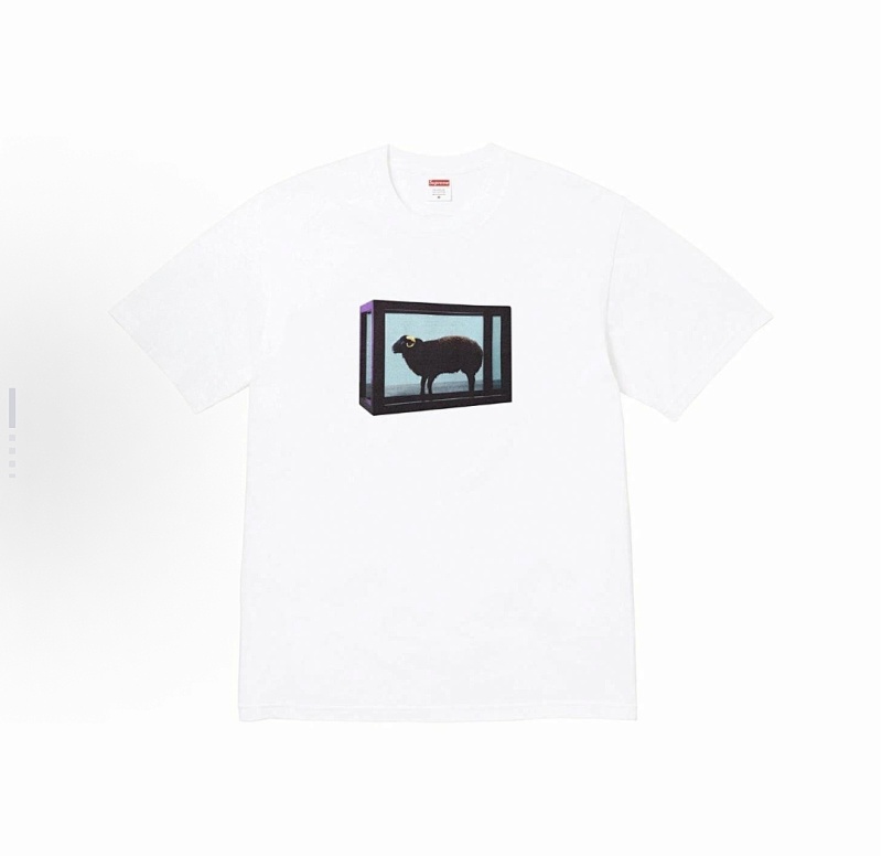 SUPREME (123)