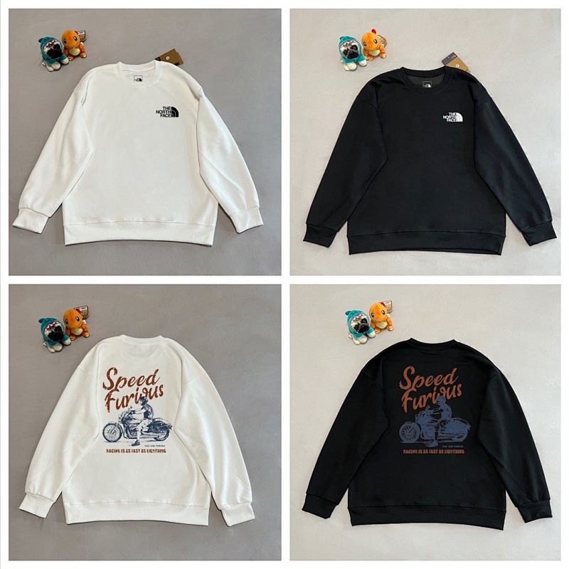 THE NORTH FACE (17)