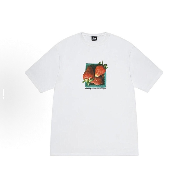 STUSSY (105)