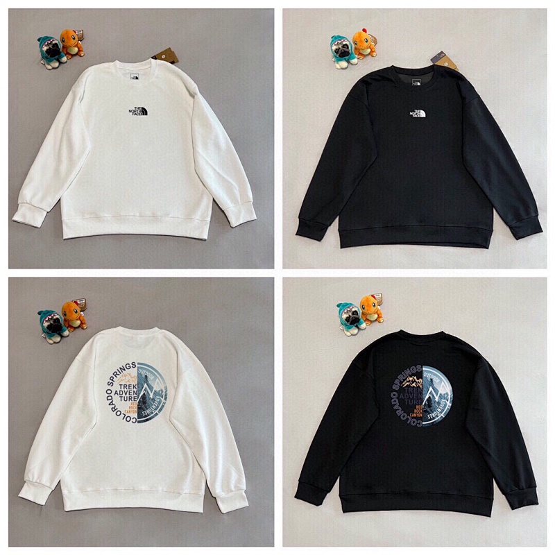 THE NORTH FACE (44)