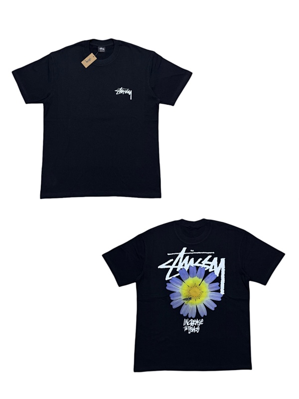 STUSSY (388)