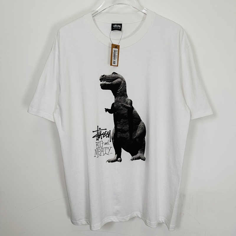 STUSSY TSHIRTS (10)