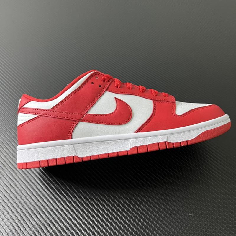 NIKE DUNK VT BATCH (19)