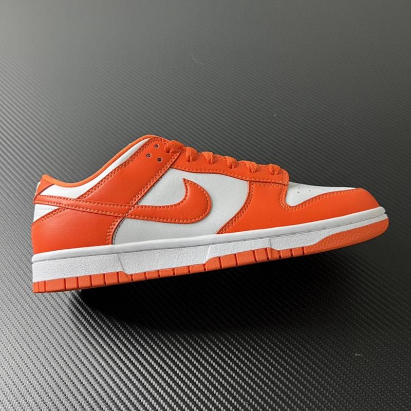 NIKE DUNK VT BATCH (18)