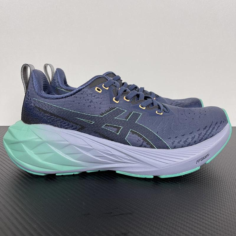ASICS SHOES (55)