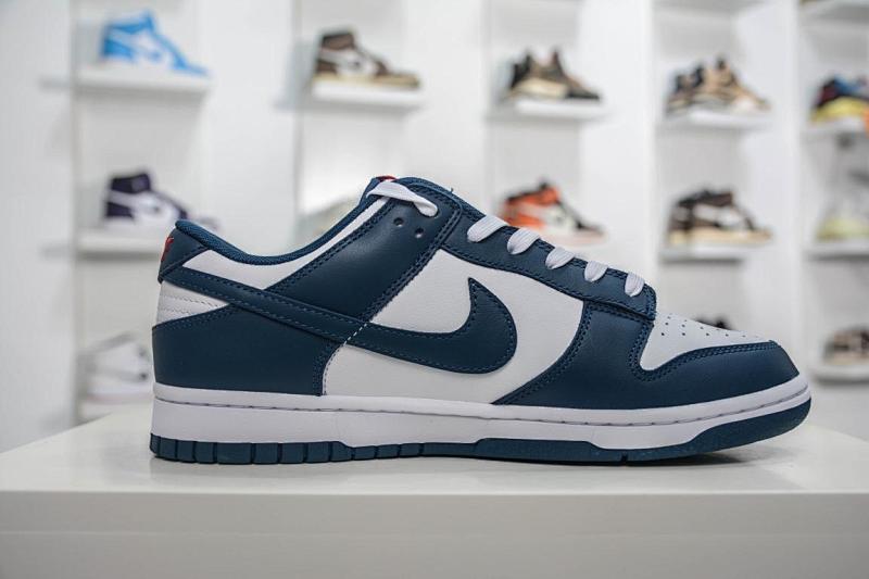 NIKE DUNK VT BATCH (171)