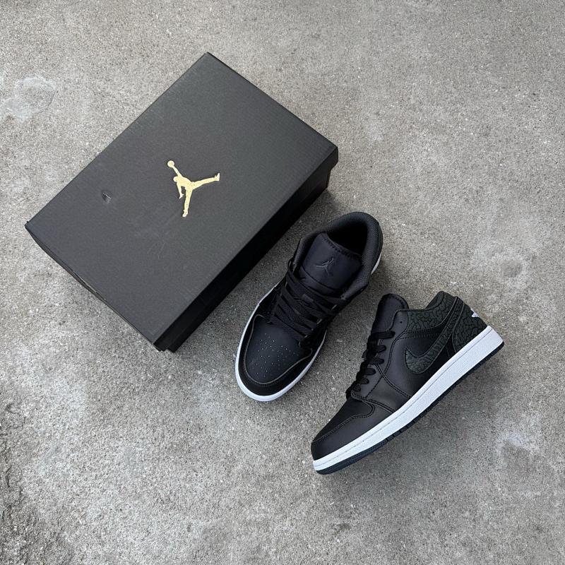 NIKE JORDAN 1 (116)