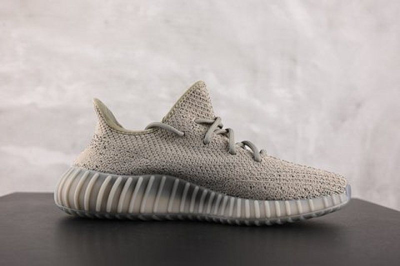 YEEZY 350 (26)