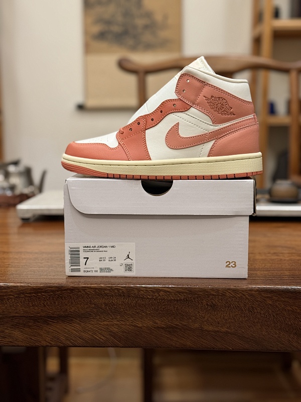 NIKE JORDAN 1 (17)