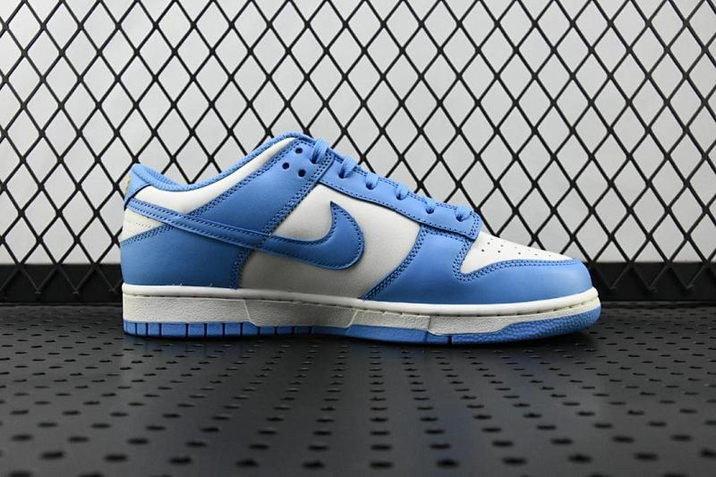 NIKE DUNK M BATCH (44)