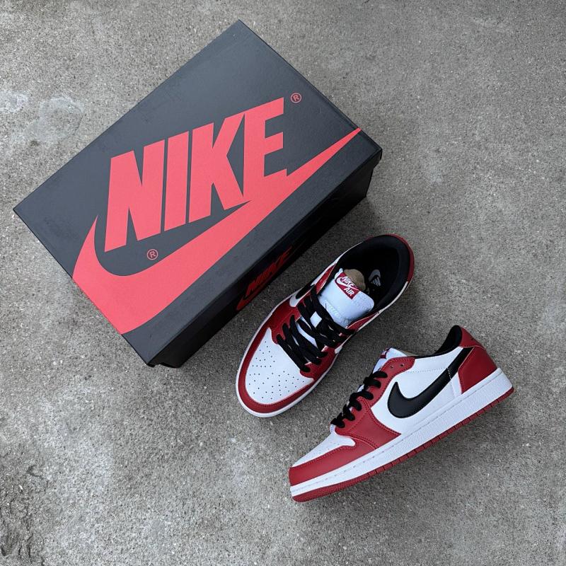 NIKE JORDAN 1 (177)