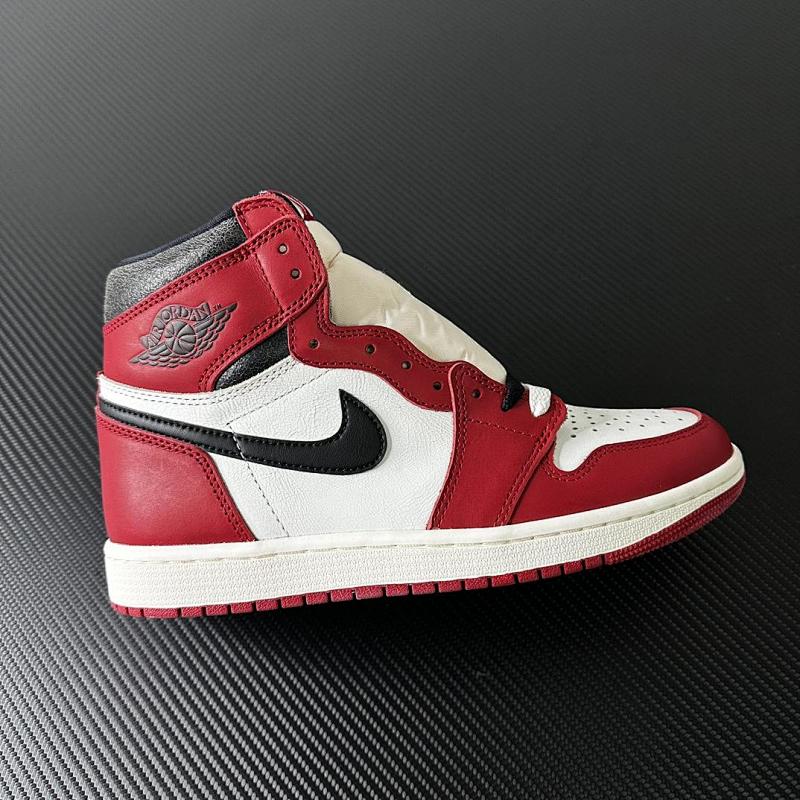 NIKE JORDAN 1 (42)