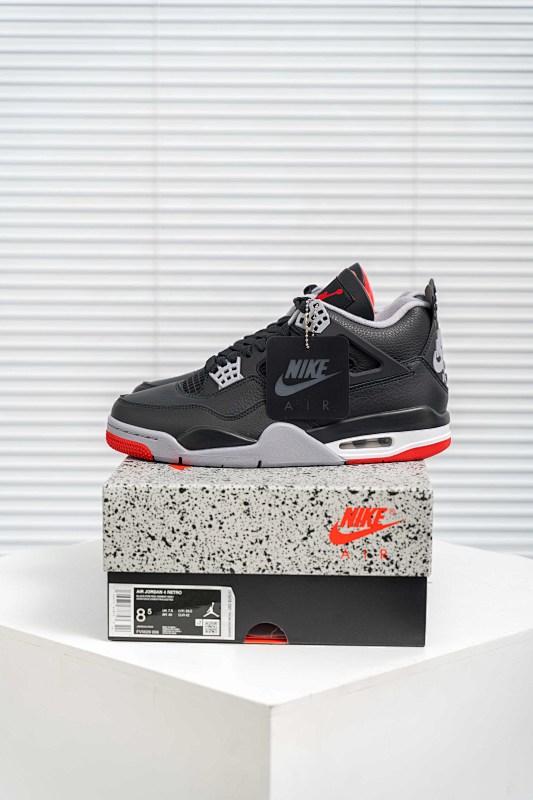NIKE JORDAN 4 (42)