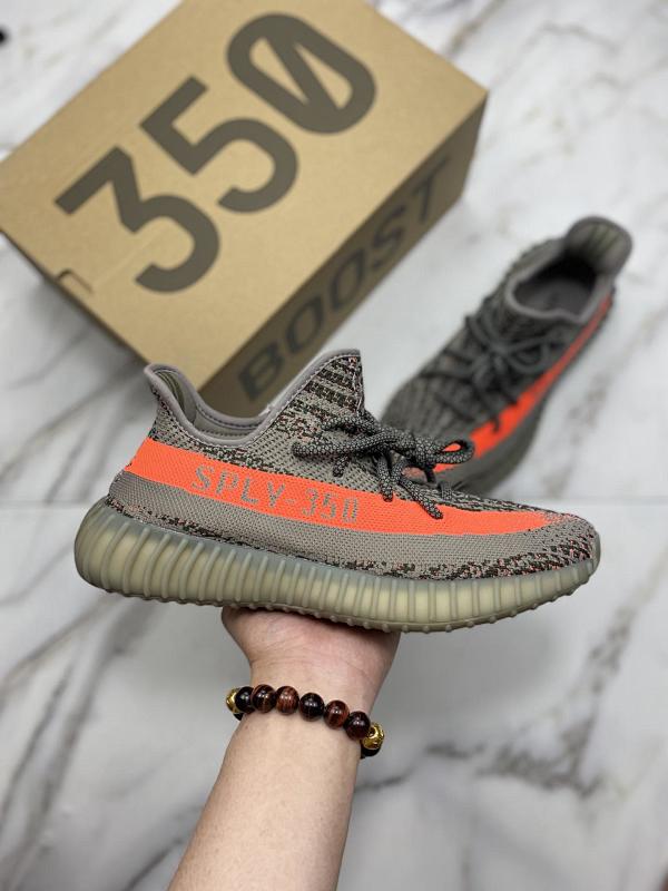 YEEZY 350 (66)