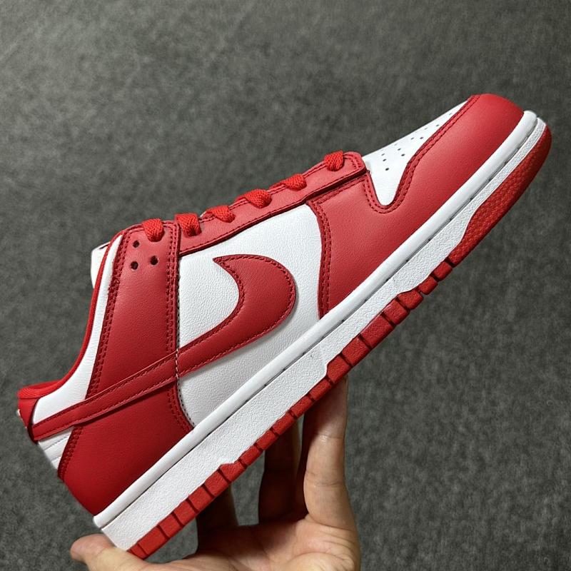 NIKE DUNK M BATCH (33)