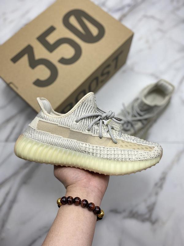 YEEZY 350 (21)