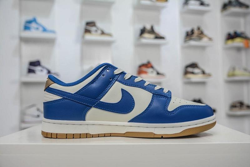 NIKE DUNK VT BATCH (119)