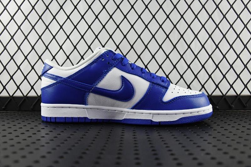 NIKE DUNK M BATCH (48)