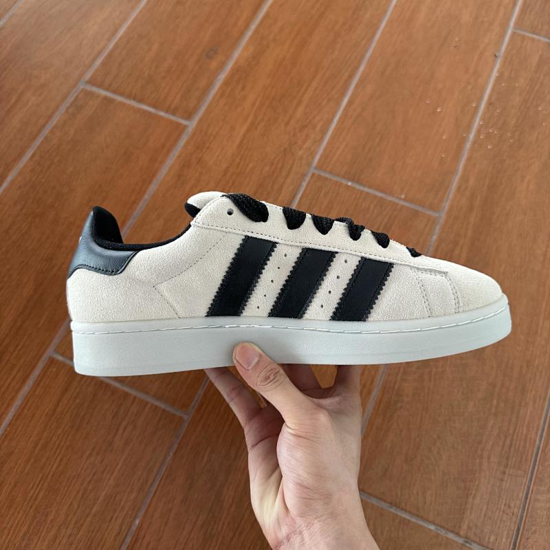 ADIDAS CAMPUS (13)