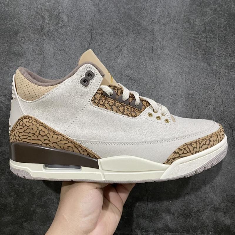 NIKE JORDAN 3 (10)