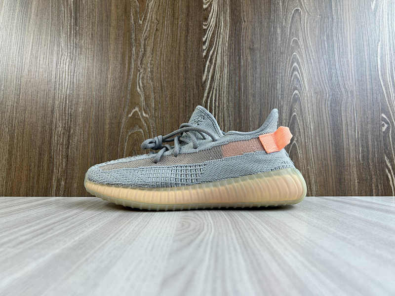 YEEZY 350 (18)