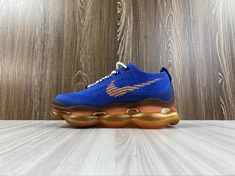 NIKE VAPORMAX (2)