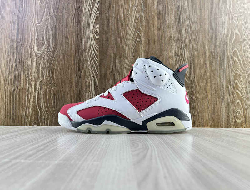 NIKE AIR JORDAN 6 (18)