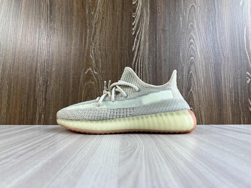 YEEZY 350 (52)