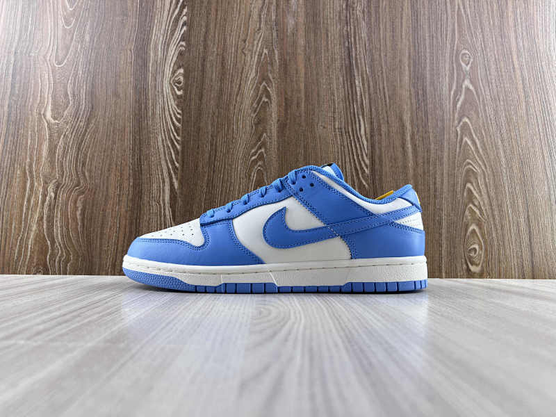 NIKE DUNK (203)