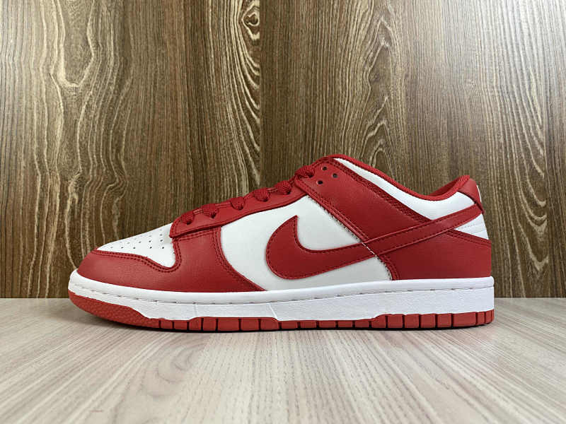 NIKE DUNK (46)