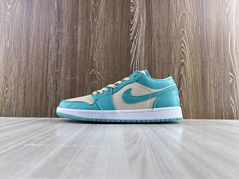 NIKE AIR JORDAN 1 LOW (50)