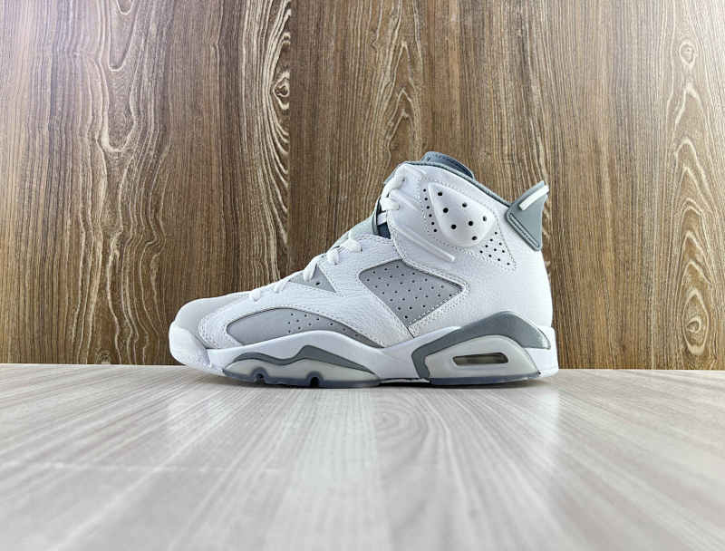 NIKE AIR JORDAN 6 (23)