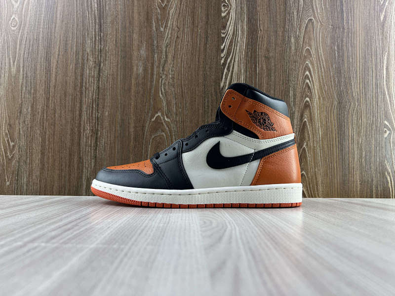 NIKE AIR JORDAN 1 HIGH (16)