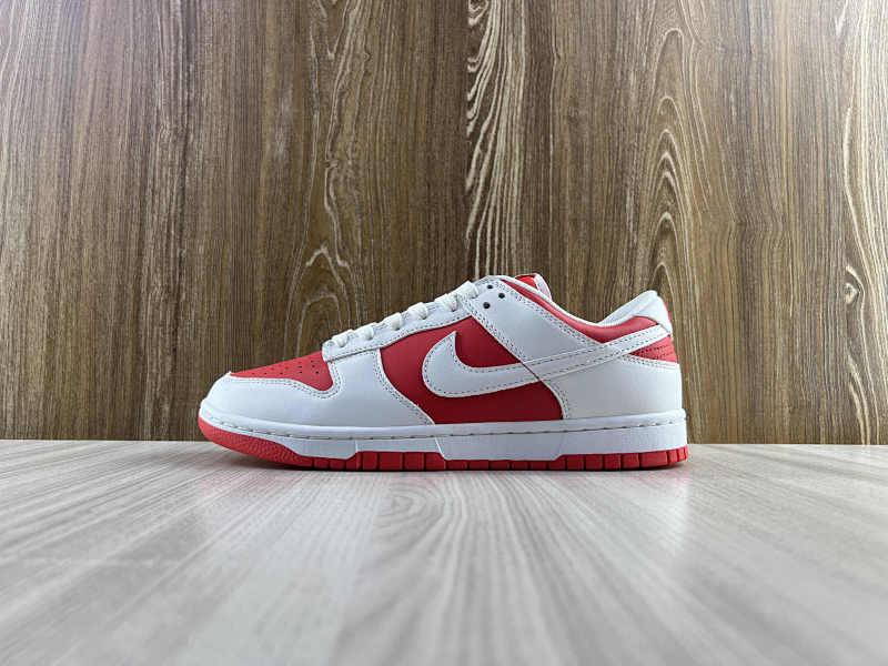 NIKE DUNK (217)