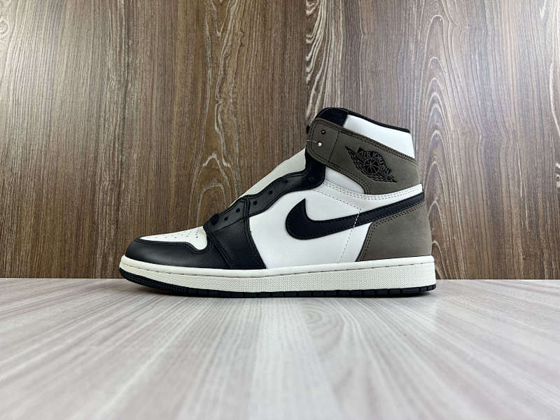 NIKE AIR JORDAN 1 HIGH (104)