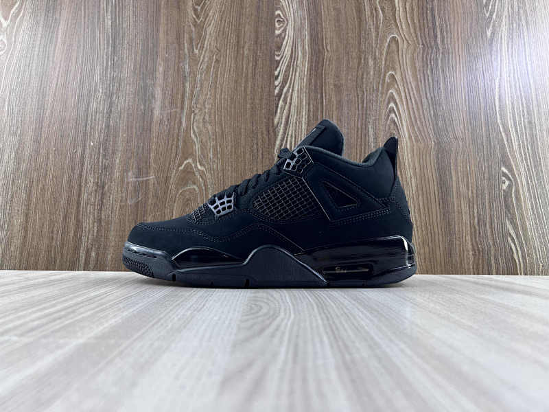 NIKE AIR JORDAN 4 (193)