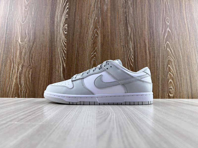 NIKE DUNK (176)