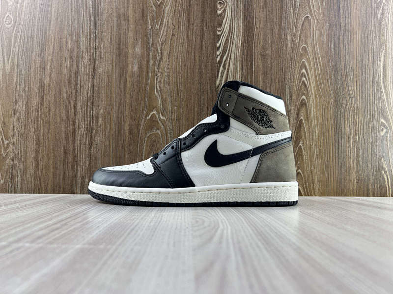 NIKE AIR JORDAN 1 HIGH (22)