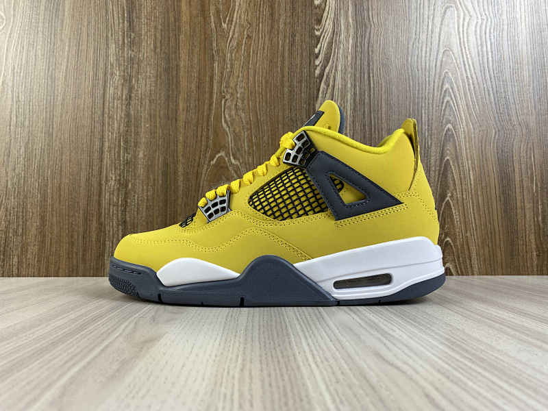 NIKE AIR JORDAN 4 (161)
