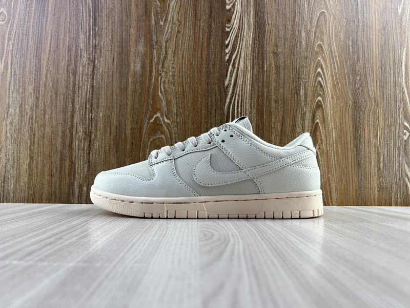 NIKE DUNK (284)
