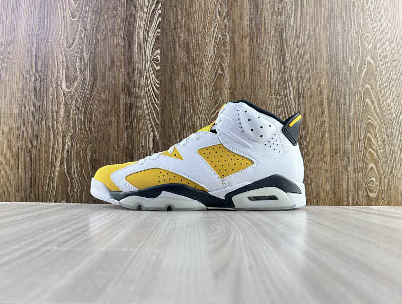 NIKE AIR JORDAN 6 (16)