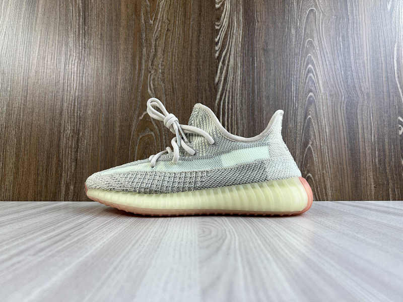 YEEZY 350 (41)