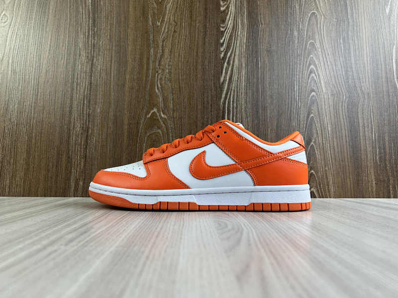NIKE DUNK (163)