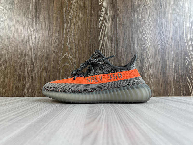 YEEZY 350 (15)