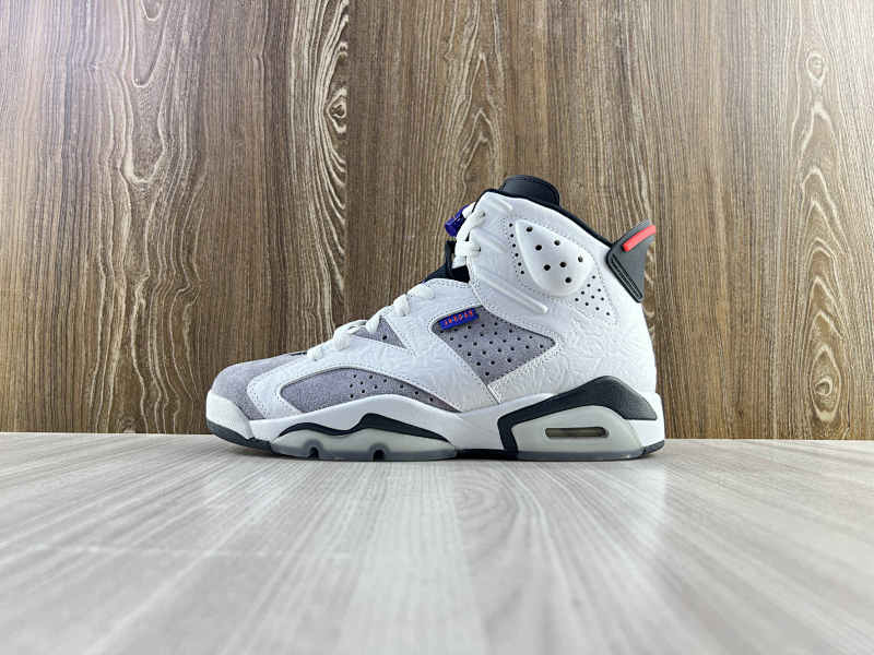 NIKE AIR JORDAN 6 (20)