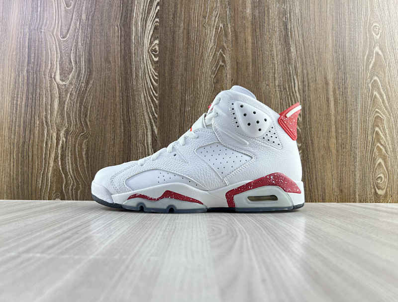 NIKE AIR JORDAN 6 (21)