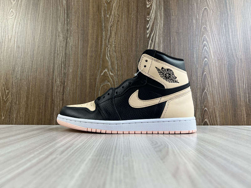 NIKE AIR JORDAN 1 HIGH (76)