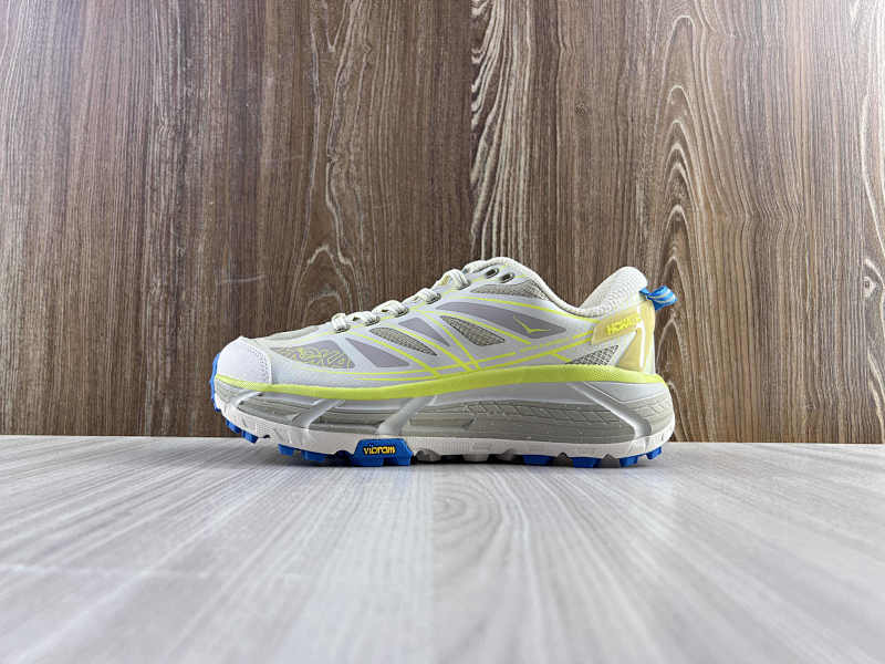 HOKA SHOES (42)