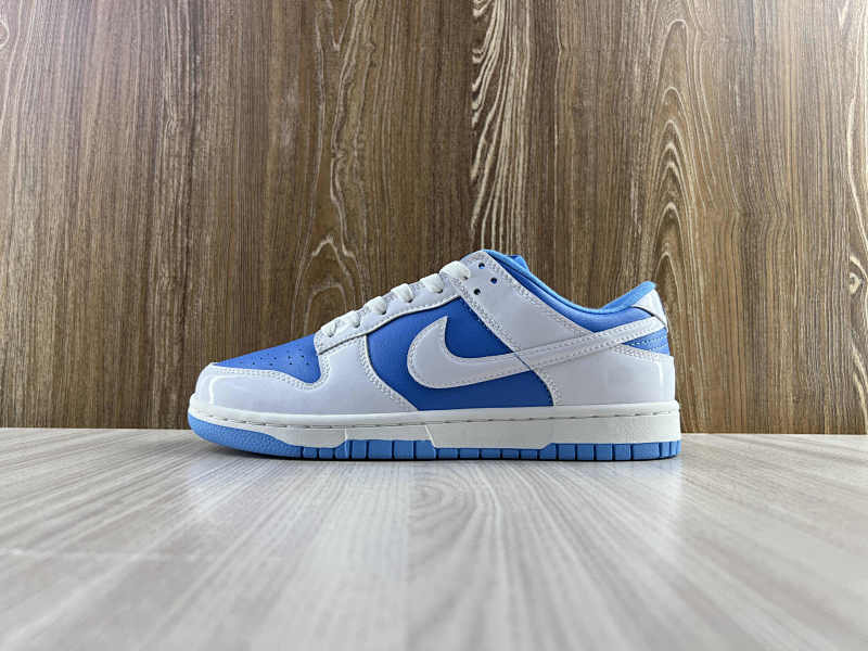NIKE DUNK (282)