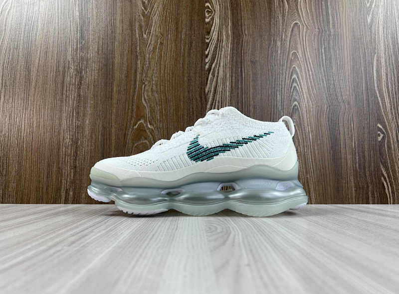 NIKE VAPORMAX (13)